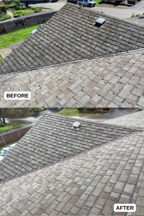 Roof Cleaning West Linn OR