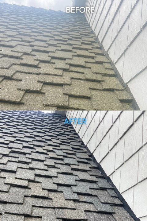 Moss Roof Cleaning Company West Linn OR