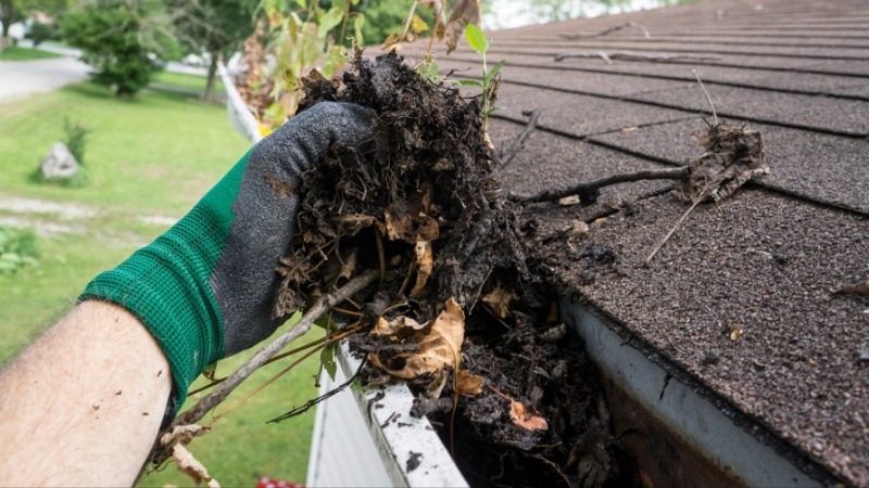Gutter Cleaning in West Linn OR, Gutter Cleaning in Lake Oswego OR, Gutter Cleaning in Oregon City OR, Gutter Cleaning in Canby OR, Gutter Cleaning in Milwaukie OR, Gutter Cleaning in Gladstone OR, Gutter Cleaning in Wilsonville OR, Gutter Cleaning in Tualatin OR, Gutter Cleaning in Tigard OR, Gutter Cleaning in Beaverton OR, Gutter Cleaning in Sherwood OR, Gutter Cleaning in Clackamas OR, Gutter Cleaning in Happy Valley OR, Gutter Cleaning in Damascus OR.