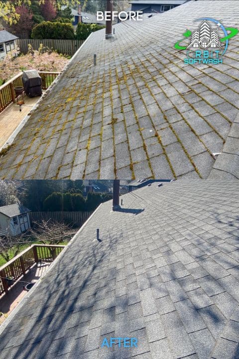Roof Moss Cleaning In Portland OR