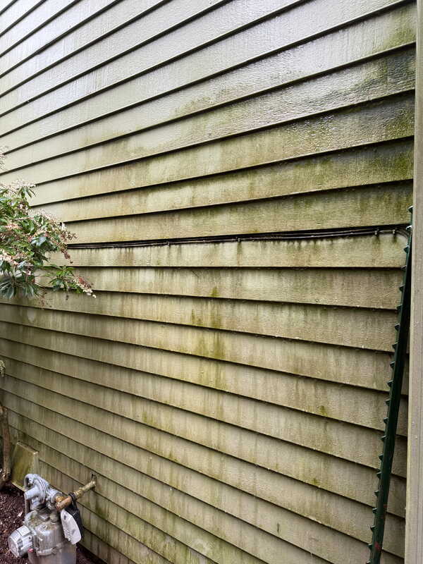 Before House Washing