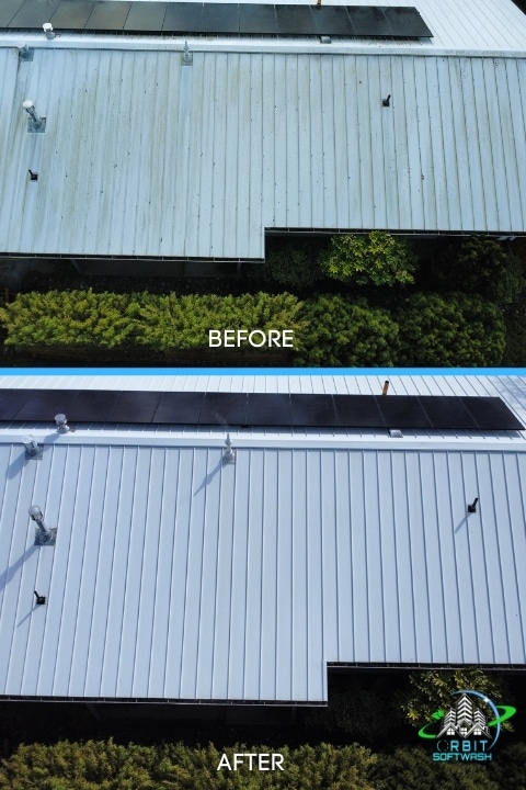 Roof-Soft-Washing-Service-1.jpg