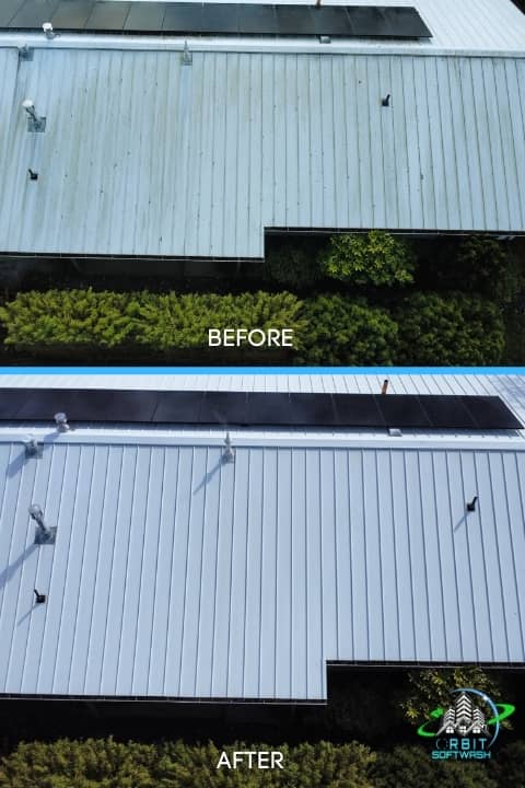 Roof Soft Washing Service