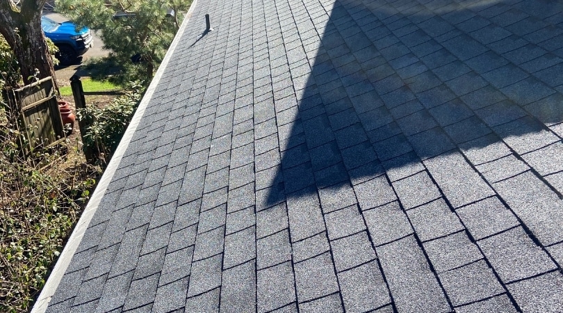 Roof Soft Wash After