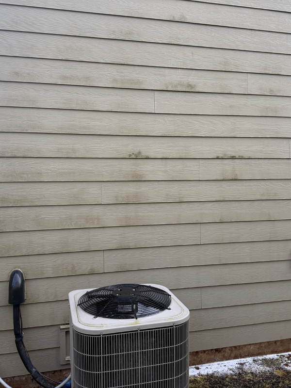 Before House Soft Wash