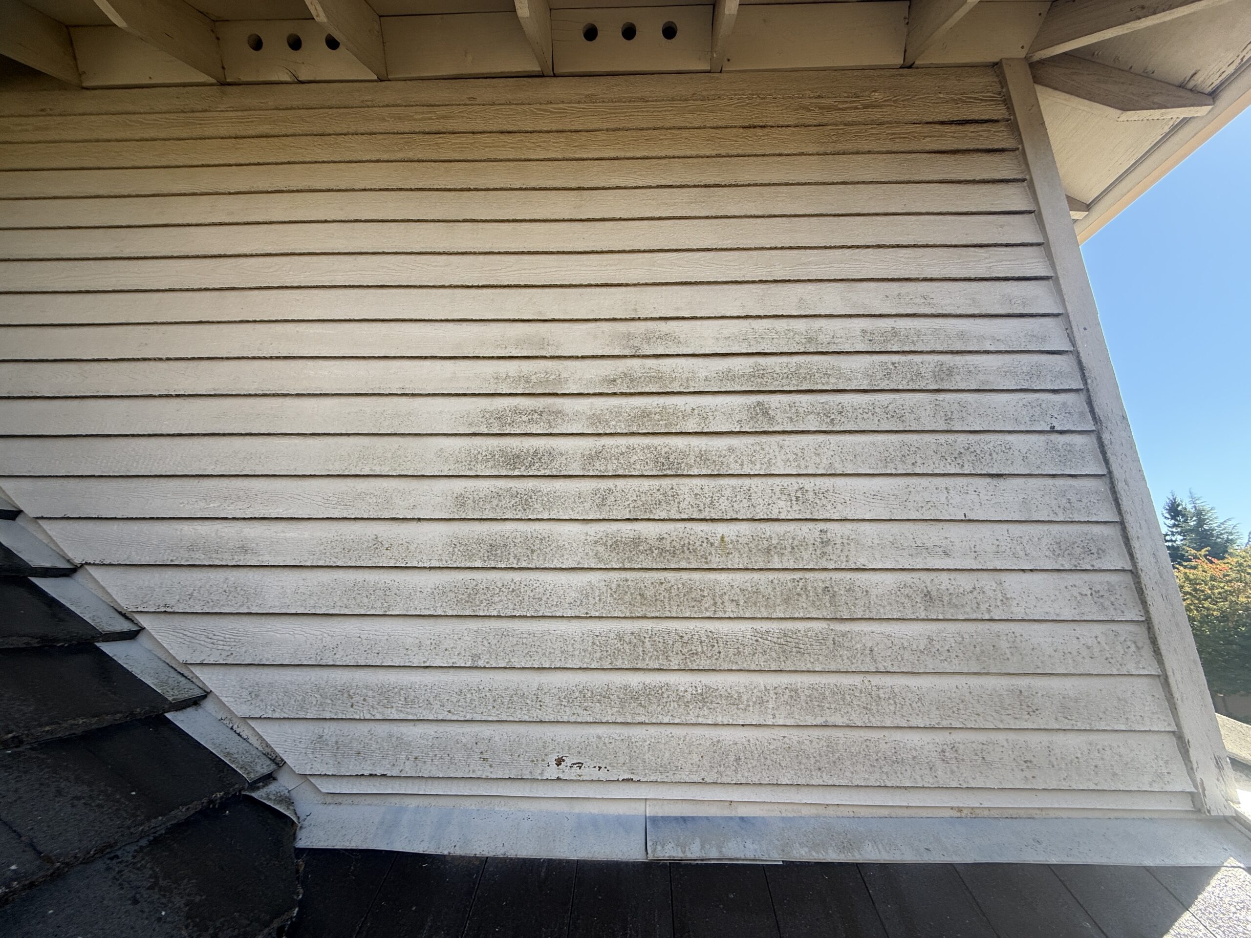 Close-up of exterior siding buildup before house washing