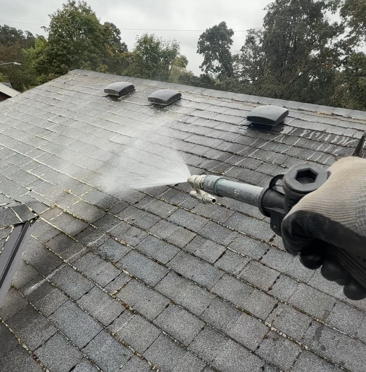 Roof Cleaning service