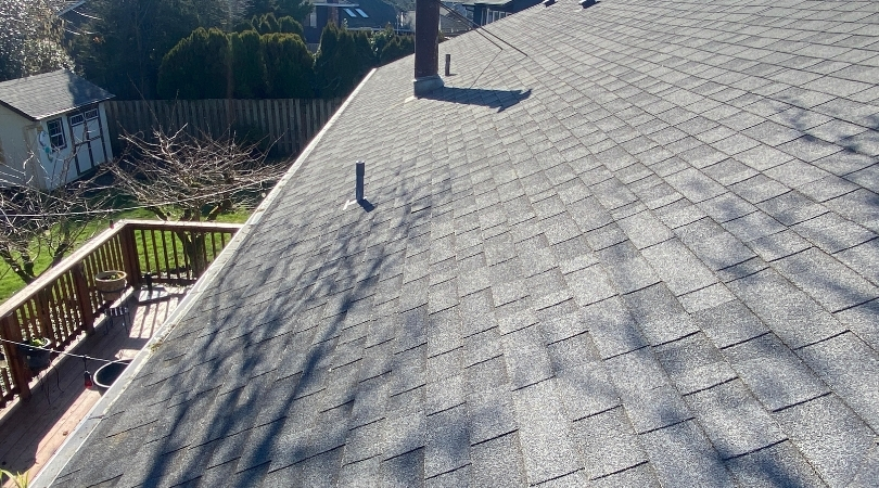 Roof after soft wash moss treatment by Orbit Soft Wash