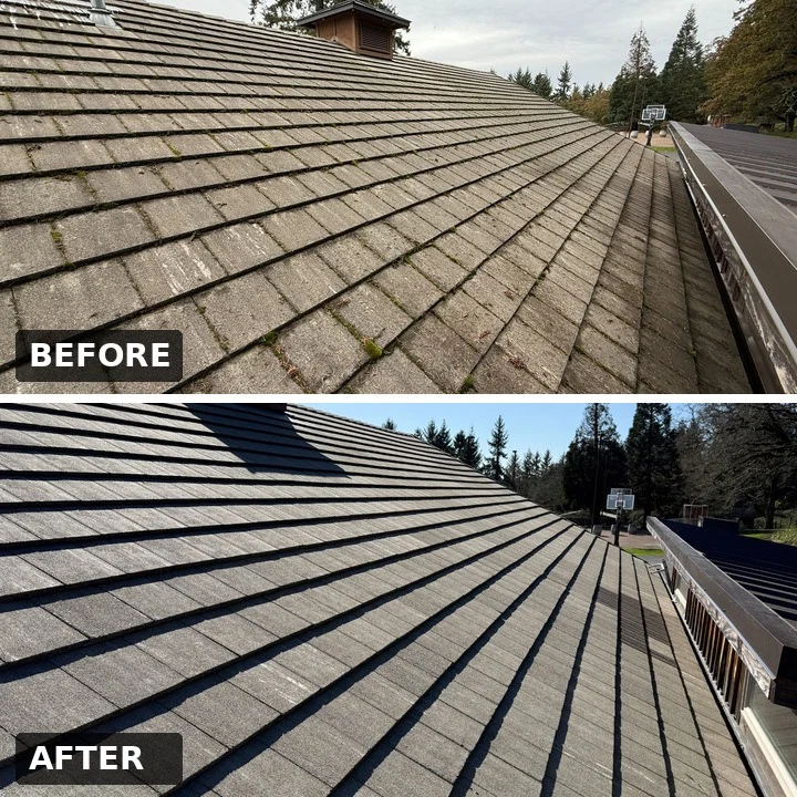 Roof soft wash treatment for moss and algae