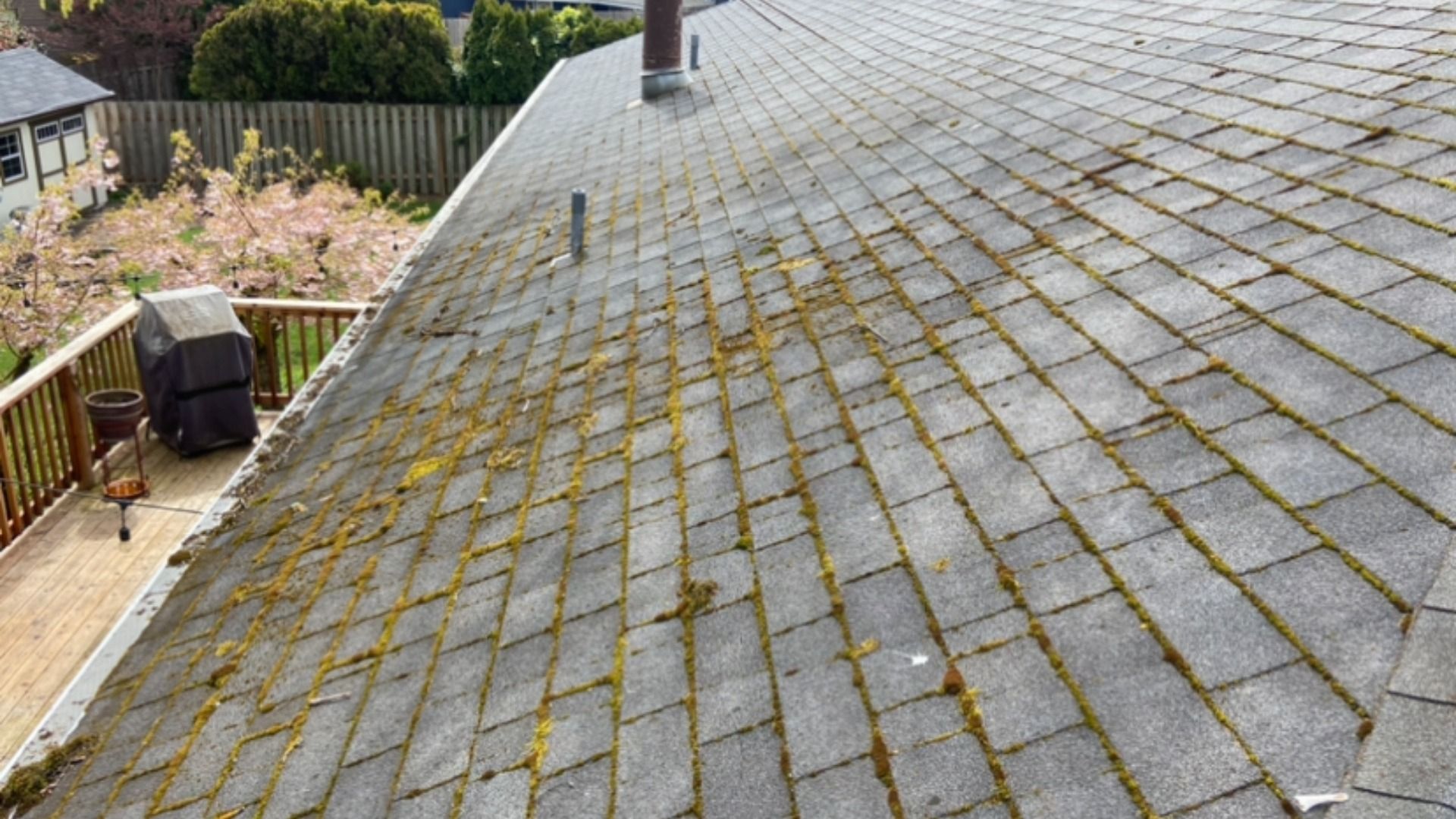 Roof before cleaning