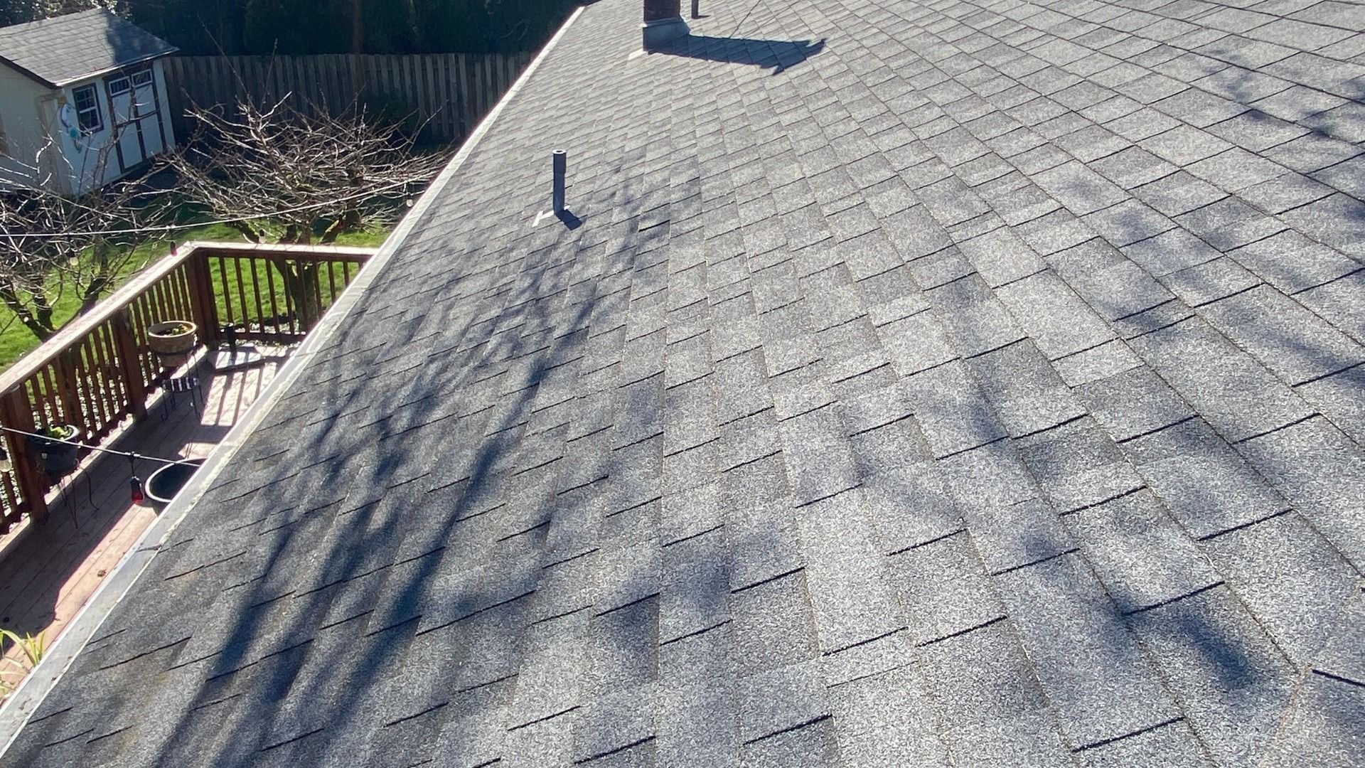 Roof after cleaning