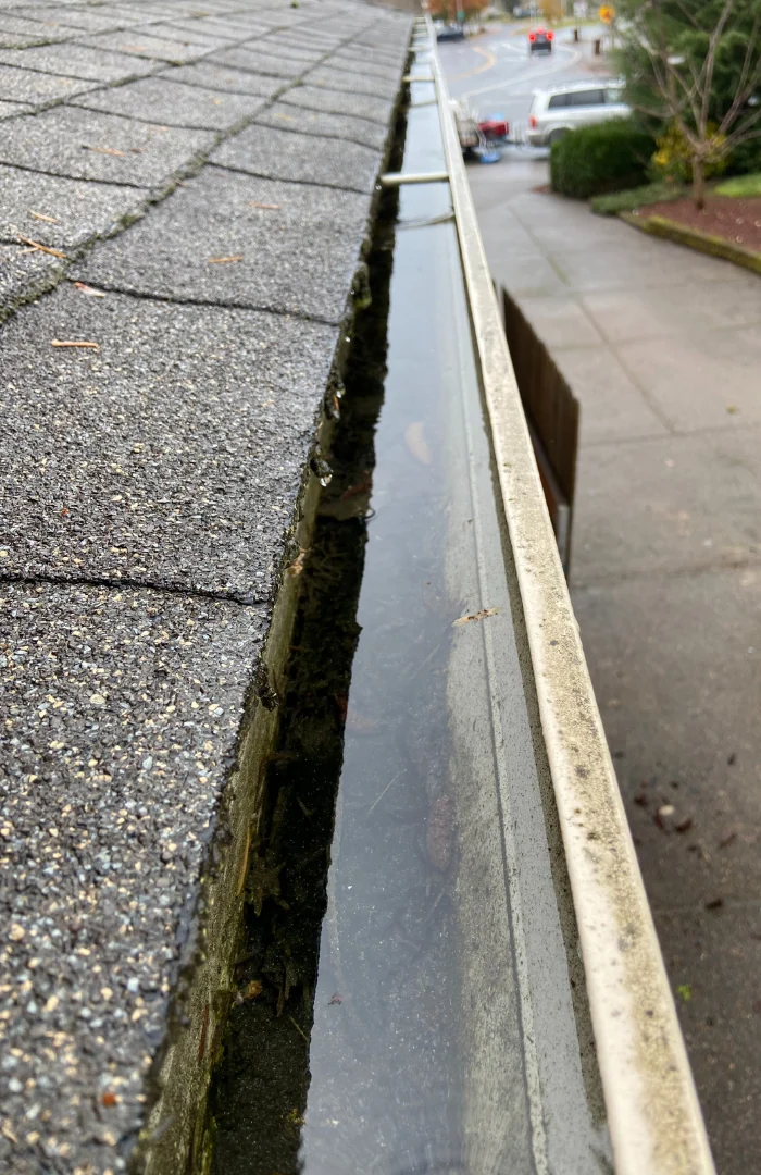 Gutter after cleaning