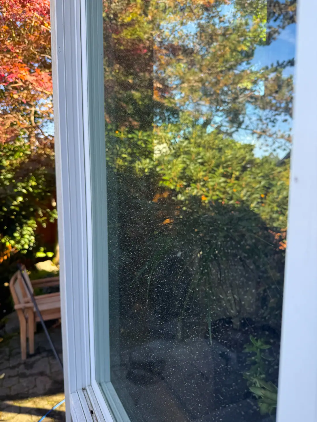 Exterior window before cleaning