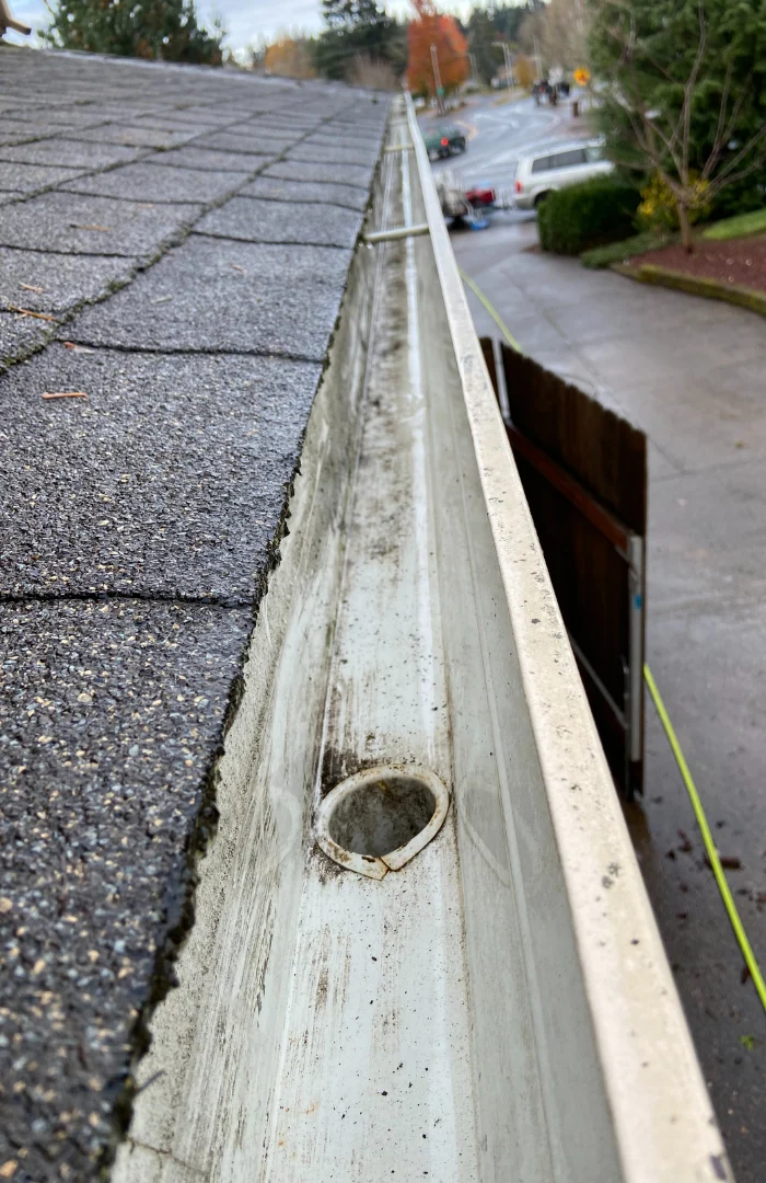 Gutter before cleaning