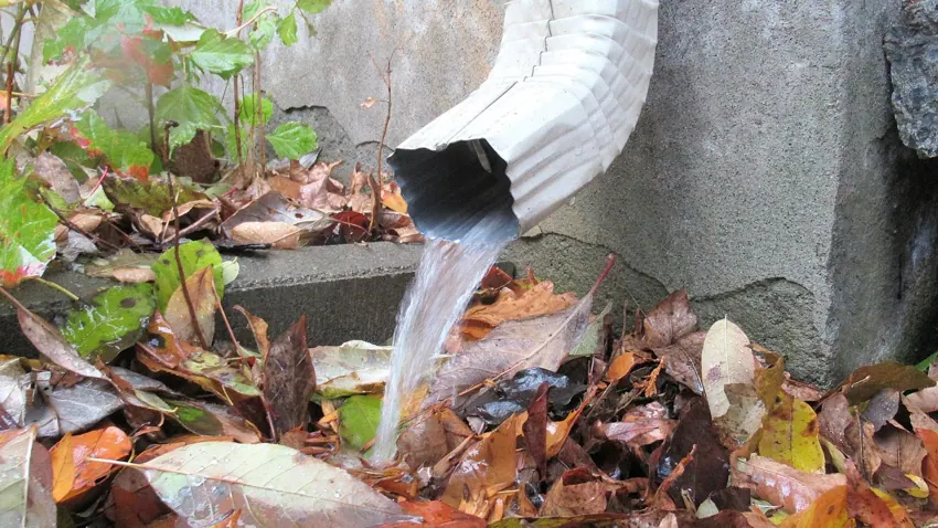 Water draining from downspout