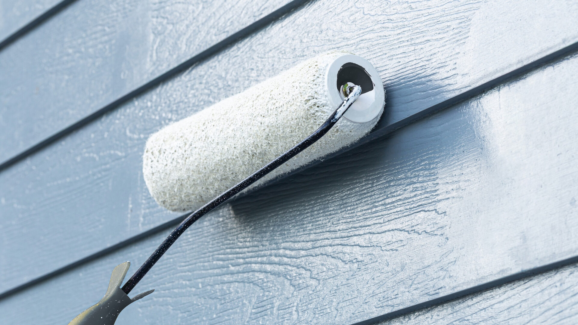 Painted Siding Cleaning