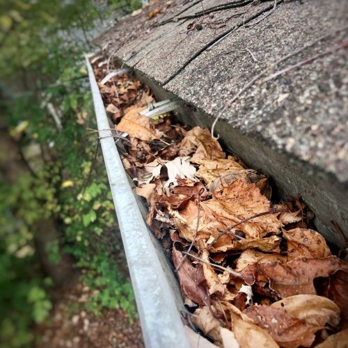 Gutter Cleaning in West Linn OR, Gutter Cleaning in Lake Oswego OR, Gutter Cleaning in Oregon City OR, Gutter Cleaning in Canby OR, Gutter Cleaning in Milwaukie OR, Gutter Cleaning in Gladstone OR, Gutter Cleaning in Wilsonville OR, Gutter Cleaning in Tualatin OR, Gutter Cleaning in Tigard OR, Gutter Cleaning in Beaverton OR, Gutter Cleaning in Sherwood OR, Gutter Cleaning in Clackamas OR, Gutter Cleaning in Happy Valley OR, Gutter Cleaning in Damascus OR.